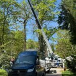 41f8d5b0-5370-4aeb-bc40-cbc6455a3ab1