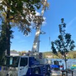 d77ad41c-8796-4e87-af65-1524d4f36752